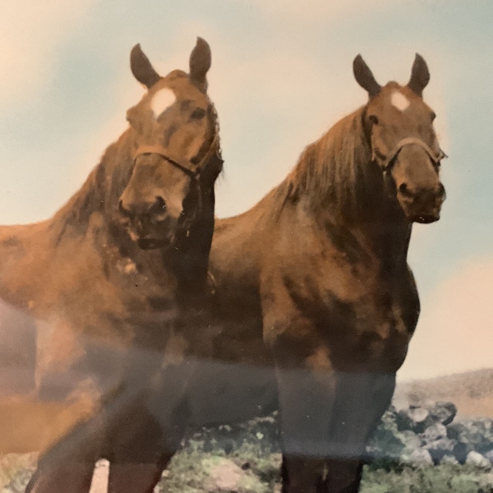 Antique Photo/Painting of 2 Draft Horses in Unique Frame - Picture 3 of 16